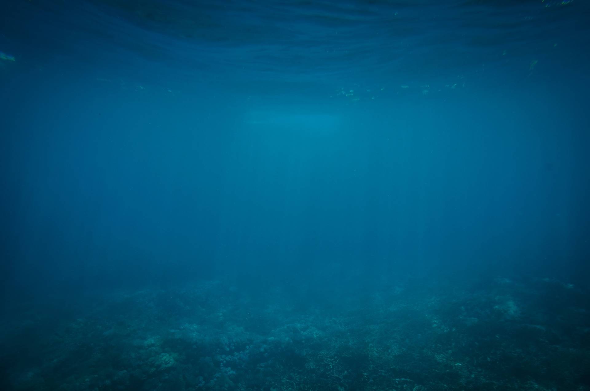 探測溶于水的二氧化碳濃度，可以探勘存在于表層海床的可燃冰